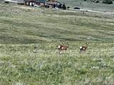 3255 Ranch Rd - Photo 23