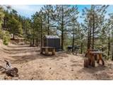 9316 Tawny Lynx Rd - Photo 10