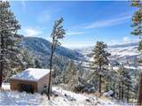 9316 Tawny Lynx Rd - Photo 4