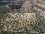 9316 Tawny Lynx Rd - Photo 9