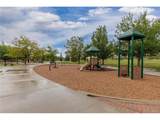 6118 Salvia Ct - Photo 44