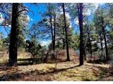 184 Aztec Dr - Photo 1