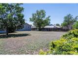 355 Woodward Ave - Photo 25