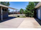 355 Woodward Ave - Photo 6