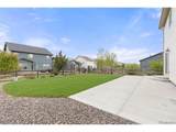 12882 Crane River Dr - Photo 29