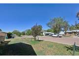 313 Cranbrook Cir - Photo 33