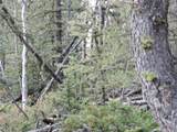 258 Old Squaw Rd - Photo 31