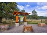 30591 Sun Creek Dr - Photo 41