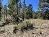 82 Kiowa Cir - Photo 10