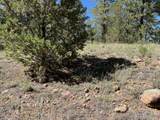 82 Kiowa Cir - Photo 4