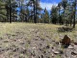 82 Kiowa Cir - Photo 6