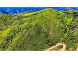 37 Raspberry Mountain Ranch - Photo 2