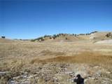 487 Falcon Rd - Photo 1