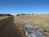 487 Falcon Rd - Photo 2