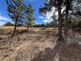 2926 E Path - Photo 10