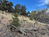 2926 E Path - Photo 35