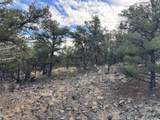 2926 E Path - Photo 39