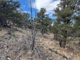 2926 E Path - Photo 40