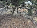 2926 E Path - Photo 41