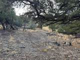 2926 E Path - Photo 42