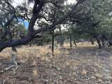 2926 E Path - Photo 43