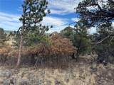 2926 E Path - Photo 44