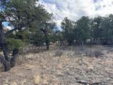 2926 E Path - Photo 45