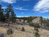 2926 E Path - Photo 50