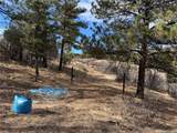 2926 E Path - Photo 9