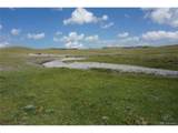 770 Pawnee Trl - Photo 4