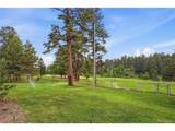 10462 Tomichi Dr - Photo 40