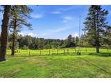 10462 Tomichi Dr - Photo 41