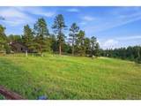10462 Tomichi Dr - Photo 42