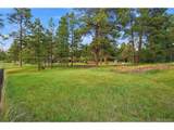 10462 Tomichi Dr - Photo 43