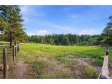 10462 Tomichi Dr - Photo 46