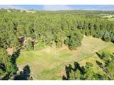 10462 Tomichi Dr - Photo 48