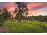 10462 Tomichi Dr - Photo 49