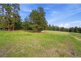10462 Tomichi Dr - Photo 50