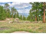 2973 Lory Ln - Photo 29