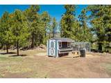 1726 County Road 104 - Photo 39