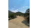 28750 County Road 304 - Photo 8