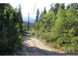 28 Sunflower Ln - Photo 3