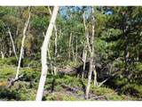 28 Sunflower Ln - Photo 8