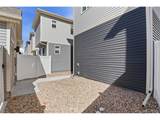 5025 Yampa St - Photo 30
