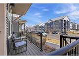 5025 Yampa St - Photo 5