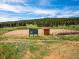 55 Deer Trail Dr - Photo 30