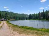 55 Deer Trail Dr - Photo 35