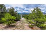 10766 Sawatch Range Rd - Photo 10