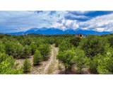 10766 Sawatch Range Rd - Photo 11