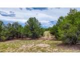 10766 Sawatch Range Rd - Photo 6